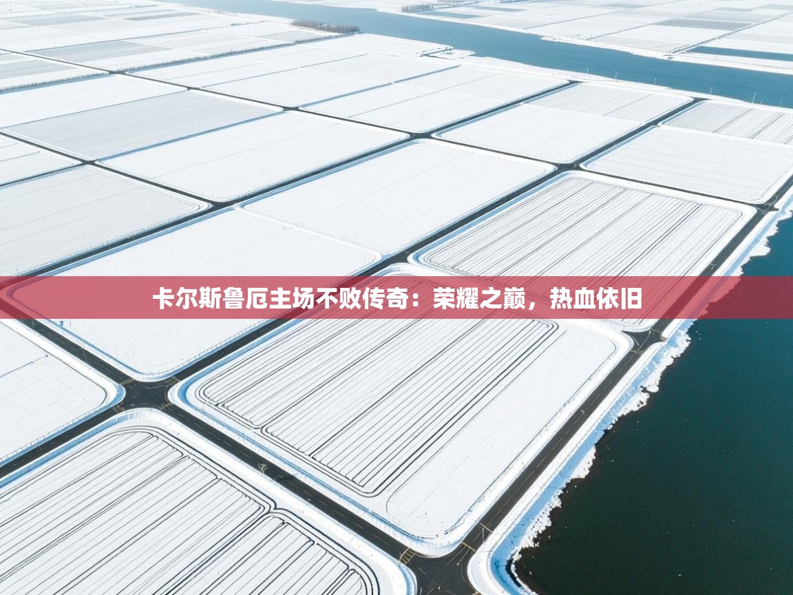 卡尔斯鲁厄主场不败传奇：荣耀之巅，热血依旧  第2张